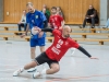 HSG-Dreieich_Herren1_TV-Langenselbold_16-11-2025_WEB-003