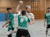 HSG-Herren1_SG-Hainhausen_25-01-2026_WEB-33