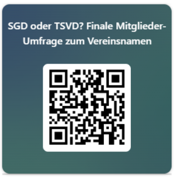 Abstimmung